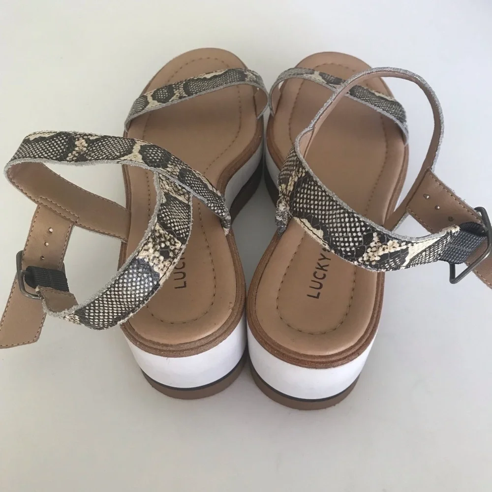 Lucky Brand reptile animal print Strat 2.5 platform wedge size 7M